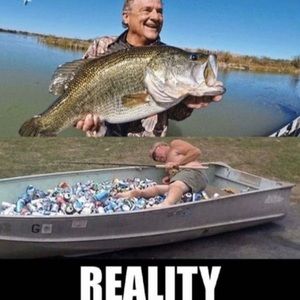 Meet your Posher, Beau